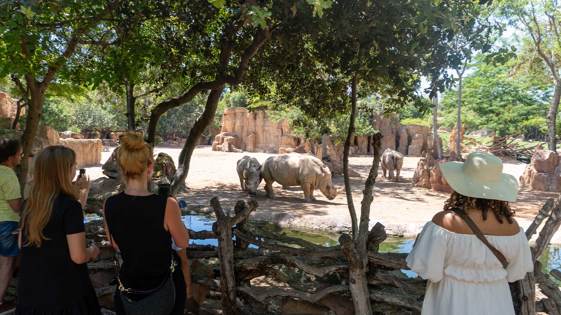 Visitantes observando a los rinocerontes en BIOPARC Valencia